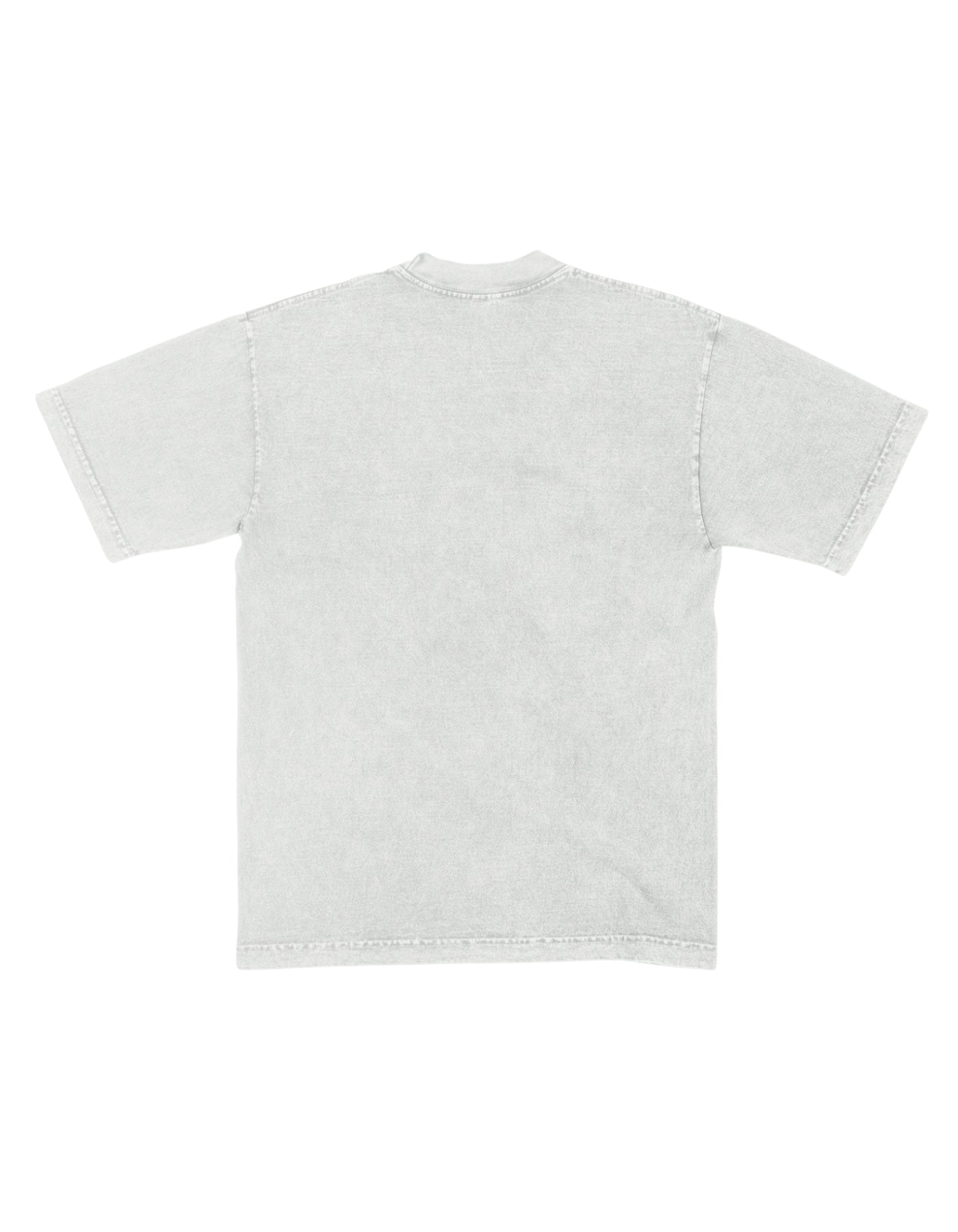 NY Sportswear T-shirt - Stone